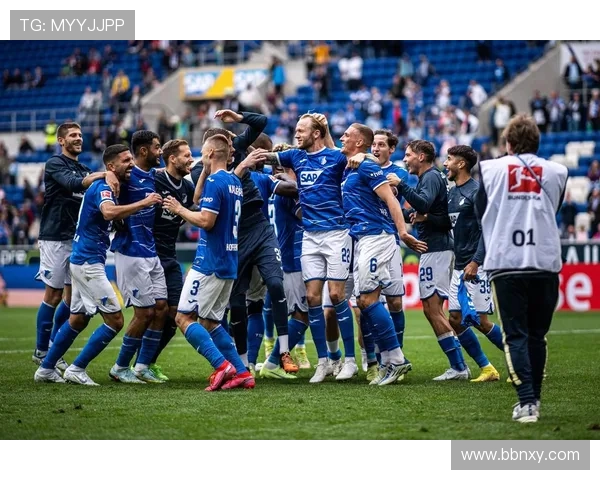 [德甲]第16轮：霍芬海姆VS达姆施塔特.